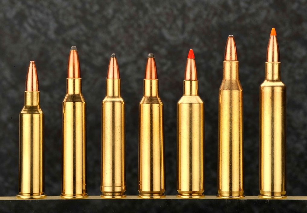 A good selection of commercial or wildcat varmint cartridges are lined up here. Some of which have been chambered in the Ruger. From left to right, .219 Donaldson Wasp, .225 Winchester, .224 WBY, .22/250 Remington, .22/250 Ackley Improved, .220 Swift and .220 WBY Rocket.